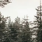 Petaejaekylae *