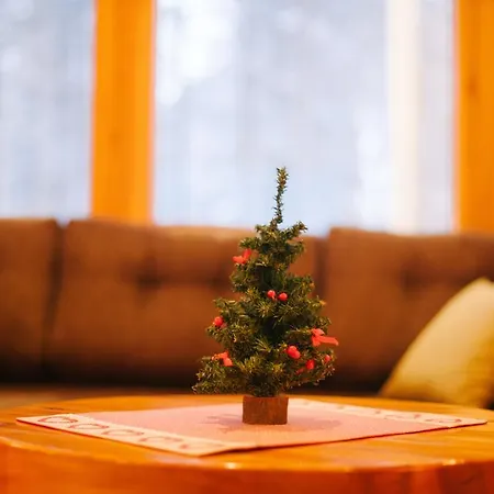 Petaejaekylae Ferienhaus