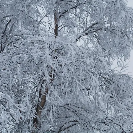 Petaejaekylae Сasa de vacaciones *