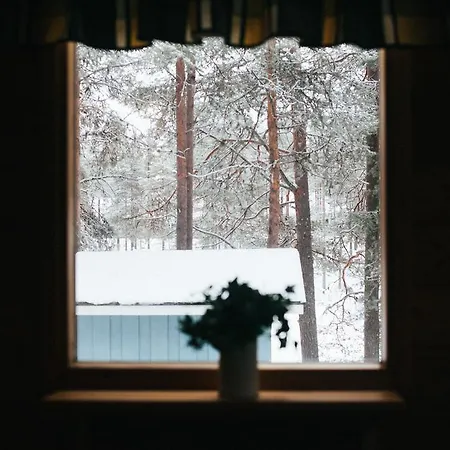 Ferienhaus Petaejaekylae *